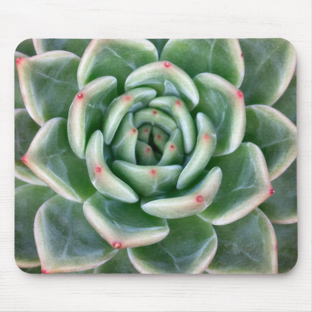 Green Red Tipped Succulent Mouse Pad (Front)