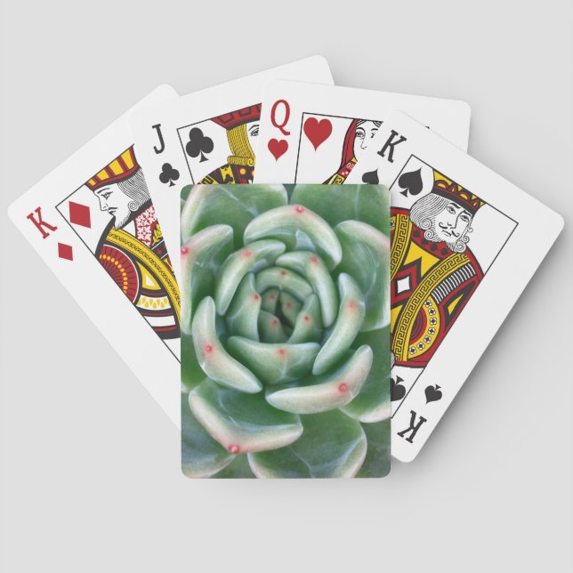 Green Red Tipped Succulent Playing Cards (Back)