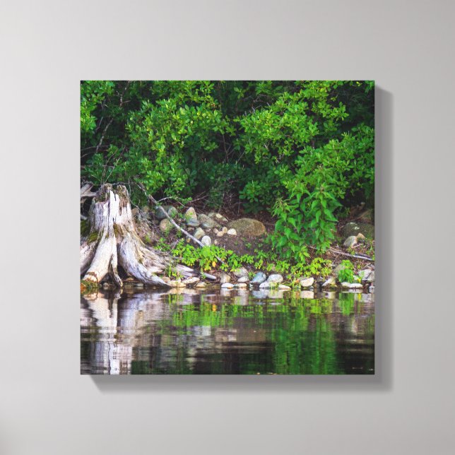 Green Reflections Canvas Print (Front)