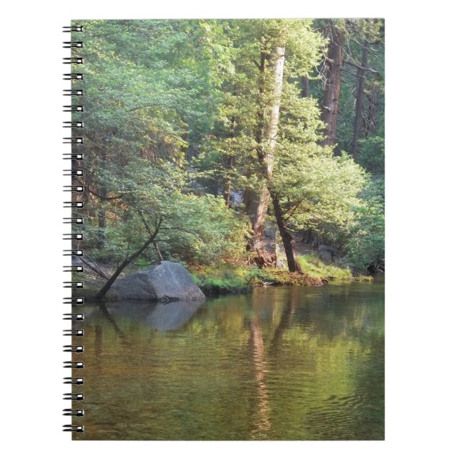 Green Reflections Notebook (Front)
