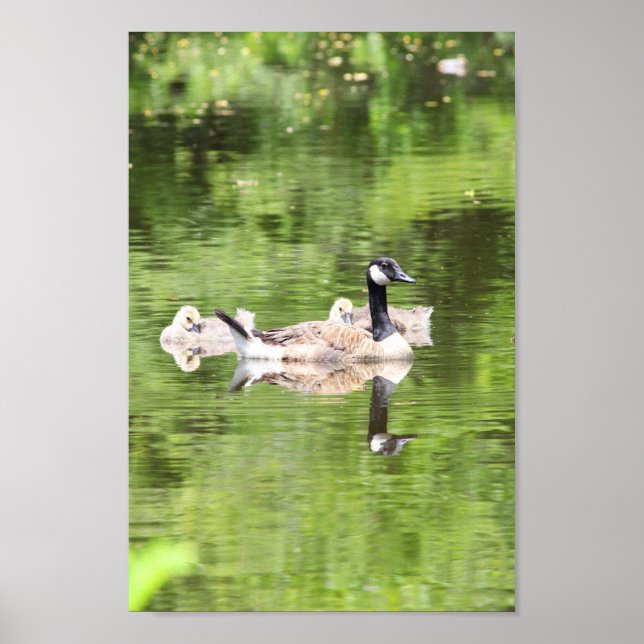 Green Reflections Poster (Front)