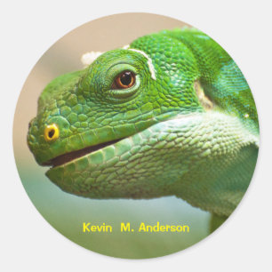 Green Reptile Face Close Up Personalised Classic Round Sticker