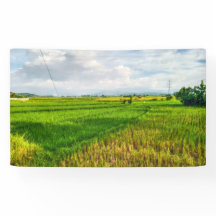 Green Rice Field Farm Vinyl
