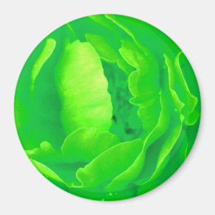 Green Rose Magnet - Customisable