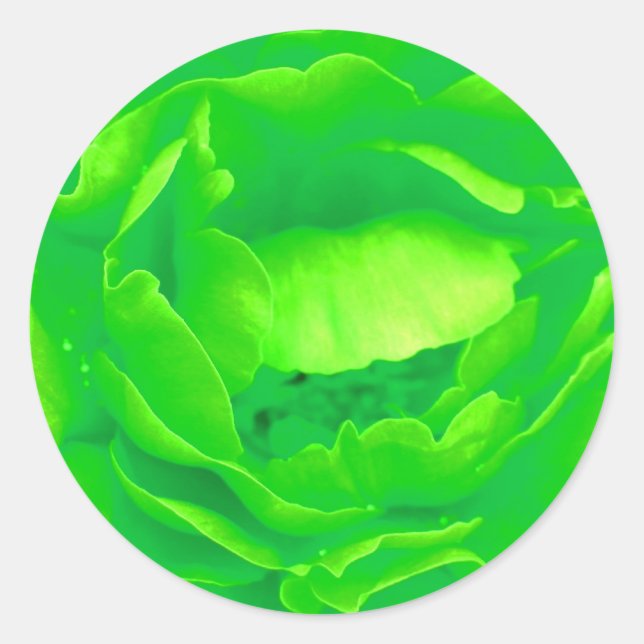 Green Rose Sticker - Customisable (Front)