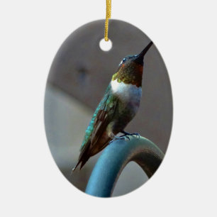 Green Ruby little Hummingbird Ceramic Ornament