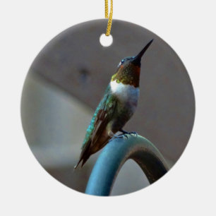 Green Ruby little Hummingbird Ceramic Tree Decoration