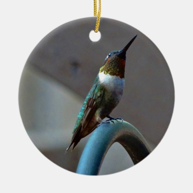 Green Ruby little Hummingbird Ceramic Tree Decoration (Front)