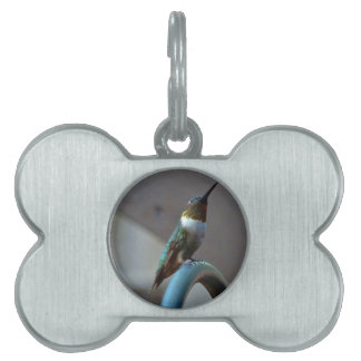 Green Ruby little Hummingbird Pet Name Tag