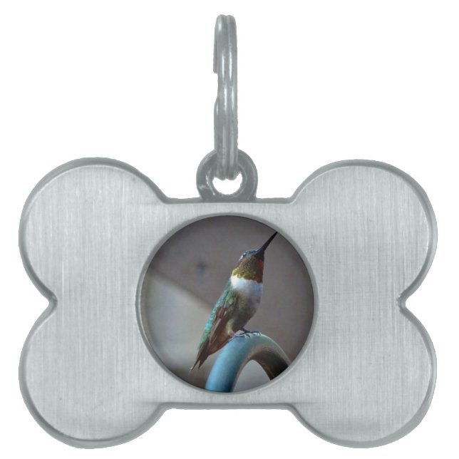 Green Ruby little Hummingbird Pet Name Tag (Front)