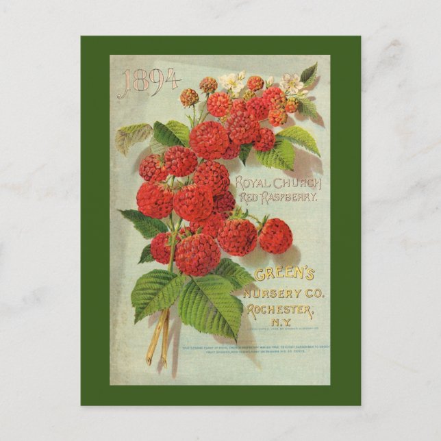 Green’s Nursery Co. Advertisement Postcard (Front)