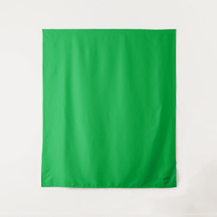 Green Screen Self Tape Audition Backdrop Tapestry