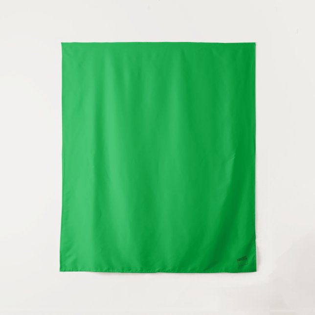 Green Screen | Self Tape Audition Backdrop Tapestry (Front)