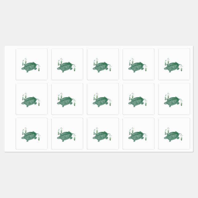 Green Sea Turtle (Sheet)