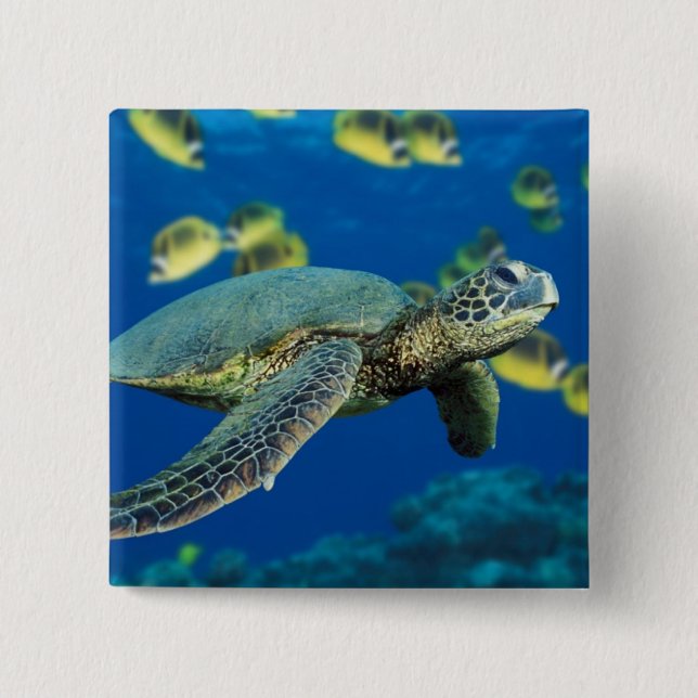 Green Sea Turtle 15 Cm Square Badge (Front)