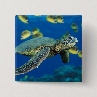 Green Sea Turtle 15 Cm Square Badge