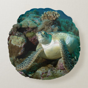 Green Sea Turtle after resting among coral reef Round Cushion