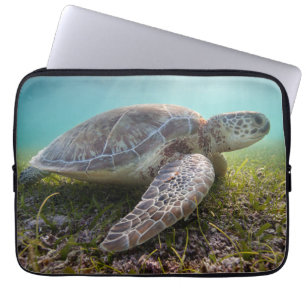 Green Sea Turtle At Dusk Akumal Bay Laptop Sleeve