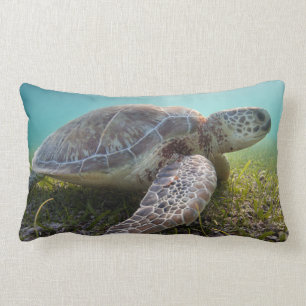 Green Sea Turtle At Dusk   Akumal Bay Lumbar Cushion