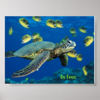 Green Sea Turtle, Be Free Poster