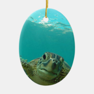 Green Sea Turtle Ceramic Ornament