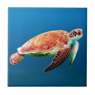 Green Sea Turtle Ceramic Tile