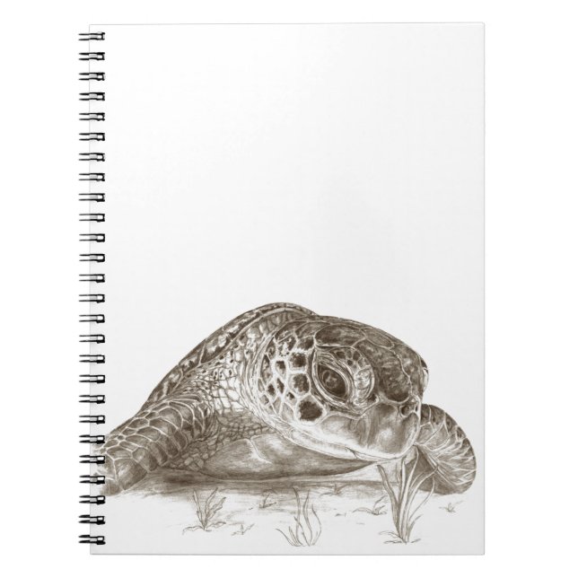 Green Sea Turtle Drawing Notebook (Front)