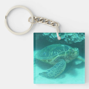 Green Sea Turtle Key Ring