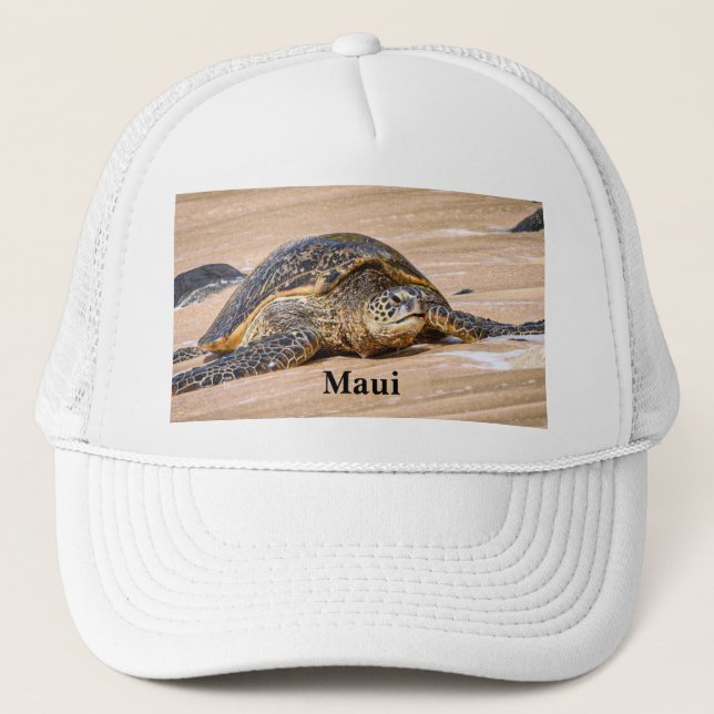 Green Sea Turtle Maui baseball cap (Front)