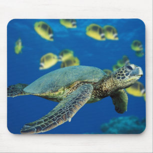 Green Sea Turtle Mouse Pad