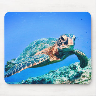 Green Sea Turtle  Mouse Pad