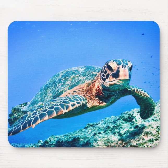 Green Sea Turtle  Mouse Pad (Front)