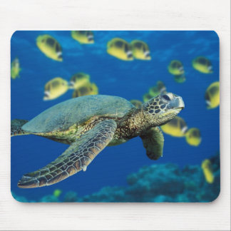 Green Sea Turtle Mouse Pad