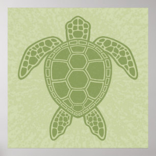 Green Sea Turtle Poster