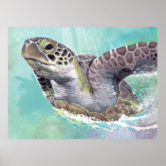 Green Sea Turtle Poster