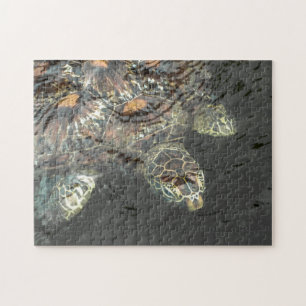Green Sea Turtle Puzzle