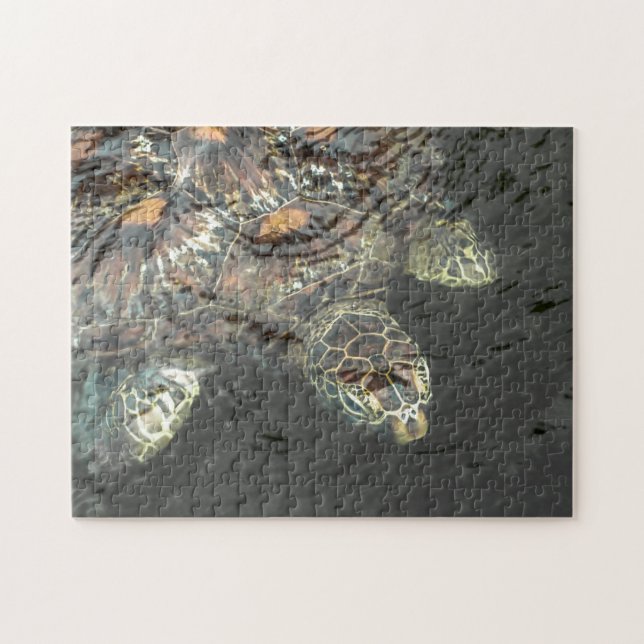 Green Sea Turtle Puzzle (Horizontal)
