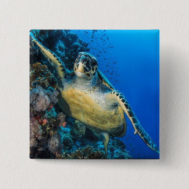 Green Sea Turtle | Red Sea 15 Cm Square Badge (Front)