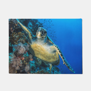 Green Sea Turtle   Red Sea Doormat