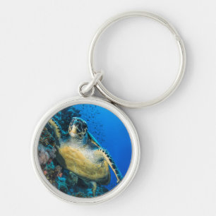 Green Sea Turtle   Red Sea Key Ring
