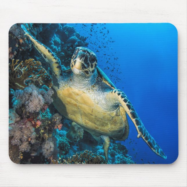 Green Sea Turtle | Red Sea Mouse Pad (Front)
