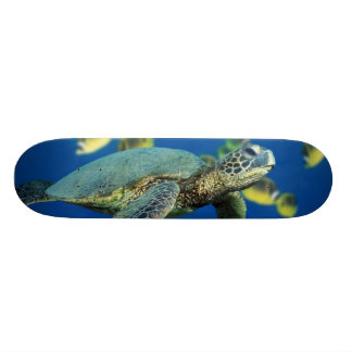 Green Sea Turtle Skateboard