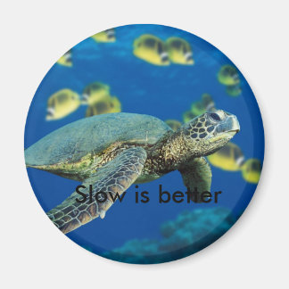 Green Sea Turtle, Slow is better Magnet