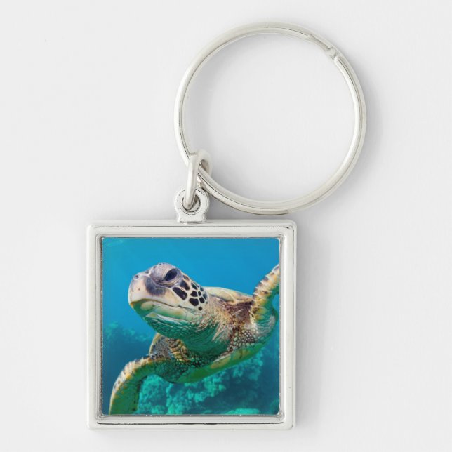 Green Sea Turtle Swimming Over Coral Reef |Hawaii Key Ring (Front)