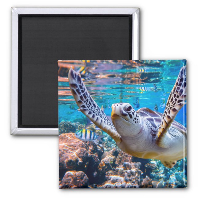 Green Sea Turtle Swimming Over Coral Reef |Hawaii Magnet (Front)