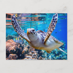 Green Sea Turtle Swimming Over Coral Reef  Hawaii Postcard