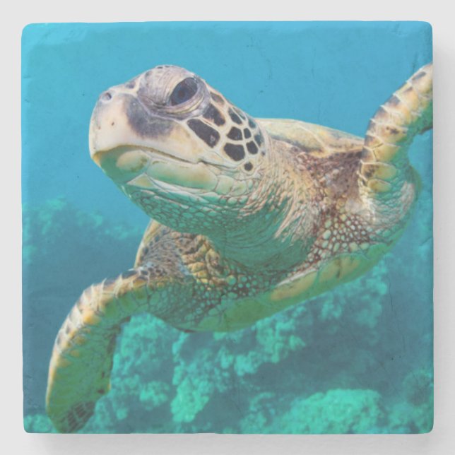 Green Sea Turtle Swimming Over Coral Reef |Hawaii Stone Coaster (Front)
