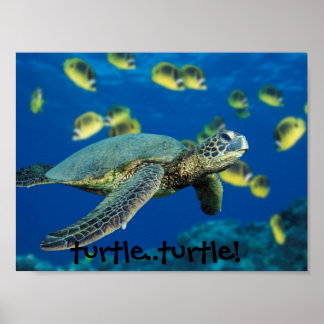 Green Sea Turtle, turtle..turtle! Poster