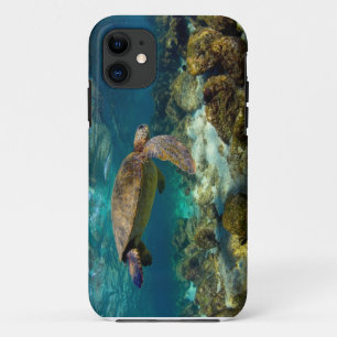 Green sea turtle underwater Galapagos Islands iPhone 11 Case