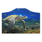 Green sea turtle underwater Galapagos paradise